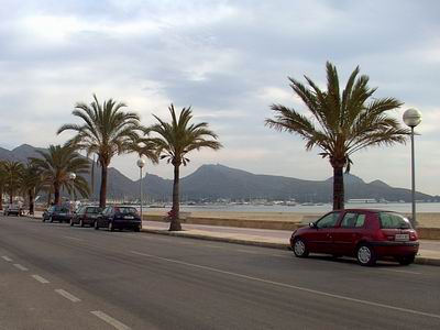 DSC0019.jpg